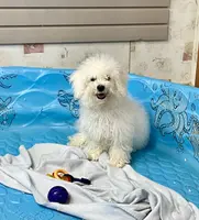 processed/6b8f1ba0-53c4-44aa-9a40-96ba513b41a5/listing/a97e6831-db94-4f54-8b55-a406fd43a9dc/e665edd3-1e07-4778-a182-cbe773a268b5