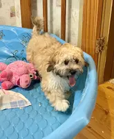 processed/6b8f1ba0-53c4-44aa-9a40-96ba513b41a5/listing/ac53d5e4-c115-4e91-9683-ec2e313ac4d3/12682d1a-92c1-4418-a86b-665d3ae4271f