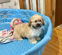 processed/6b8f1ba0-53c4-44aa-9a40-96ba513b41a5/listing/ac53d5e4-c115-4e91-9683-ec2e313ac4d3/1b5b834c-8474-4eb1-bde0-1ce5bd48c995