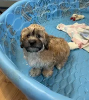 processed/6b8f1ba0-53c4-44aa-9a40-96ba513b41a5/listing/ac53d5e4-c115-4e91-9683-ec2e313ac4d3/3ab60e39-2bc6-401c-a67a-338aaf75a025