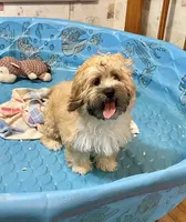 processed/6b8f1ba0-53c4-44aa-9a40-96ba513b41a5/listing/ac53d5e4-c115-4e91-9683-ec2e313ac4d3/43b12efe-028b-4688-8d1e-a9a0a24e0ec1