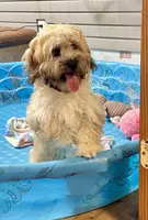 processed/6b8f1ba0-53c4-44aa-9a40-96ba513b41a5/listing/ac53d5e4-c115-4e91-9683-ec2e313ac4d3/81135455-5b49-4f76-8e0d-23f0ca70a66e