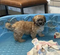 processed/6b8f1ba0-53c4-44aa-9a40-96ba513b41a5/listing/ac53d5e4-c115-4e91-9683-ec2e313ac4d3/8c5a96d6-48d4-4550-b4fc-fc6346c2e500