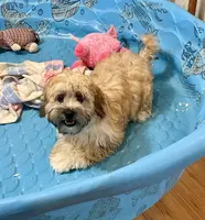 processed/6b8f1ba0-53c4-44aa-9a40-96ba513b41a5/listing/ac53d5e4-c115-4e91-9683-ec2e313ac4d3/c2776dc4-afa2-4b51-9f11-90339268af34