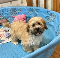 processed/6b8f1ba0-53c4-44aa-9a40-96ba513b41a5/listing/ac53d5e4-c115-4e91-9683-ec2e313ac4d3/e3de6586-9982-4702-b3f7-704f6d2ae35e