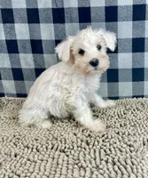 processed/6b8f1ba0-53c4-44aa-9a40-96ba513b41a5/listing/afebeeea-b3f9-480d-b667-082dc240f440/07d18c28-11d2-43e8-be18-1e241d380916