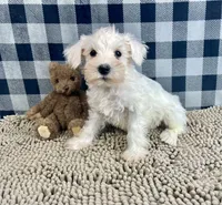 processed/6b8f1ba0-53c4-44aa-9a40-96ba513b41a5/listing/afebeeea-b3f9-480d-b667-082dc240f440/d8672a1d-6510-4361-b92d-0709a835c5f9