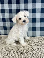 processed/6b8f1ba0-53c4-44aa-9a40-96ba513b41a5/listing/afebeeea-b3f9-480d-b667-082dc240f440/e3838fd3-32c2-4ea4-ab01-b209ac5d6523