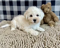 processed/6b8f1ba0-53c4-44aa-9a40-96ba513b41a5/listing/ccf1894e-32bb-4dfa-a04e-27ee77f2b42a/191a6c38-fab2-4dec-816a-6877722b220f