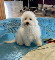 processed/6b8f1ba0-53c4-44aa-9a40-96ba513b41a5/listing/ccf1894e-32bb-4dfa-a04e-27ee77f2b42a/1b95134c-fe1c-4eb7-bf19-2bb22e4ee823