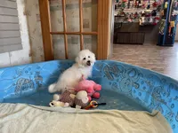 processed/6b8f1ba0-53c4-44aa-9a40-96ba513b41a5/listing/ccf1894e-32bb-4dfa-a04e-27ee77f2b42a/6c1845a3-b001-4608-a071-b98b8f8a2f33