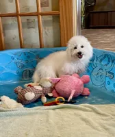 processed/6b8f1ba0-53c4-44aa-9a40-96ba513b41a5/listing/ccf1894e-32bb-4dfa-a04e-27ee77f2b42a/71ac9060-2b16-46ef-8986-b8cfee965a54