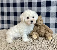 processed/6b8f1ba0-53c4-44aa-9a40-96ba513b41a5/listing/ccf1894e-32bb-4dfa-a04e-27ee77f2b42a/75d0742e-c846-4bc9-b878-6391ef0fcdf3