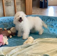 processed/6b8f1ba0-53c4-44aa-9a40-96ba513b41a5/listing/ccf1894e-32bb-4dfa-a04e-27ee77f2b42a/f8a5305e-047a-4161-bb84-e22f6e63f6a8