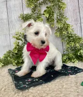 processed/6b8f1ba0-53c4-44aa-9a40-96ba513b41a5/listing/e49220d1-5ff8-4038-93c7-fd6c0c9d8f53/22b17477-a196-45fa-8c4a-ddc0699ca75d