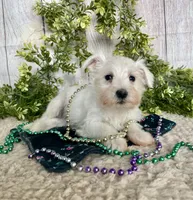 processed/6b8f1ba0-53c4-44aa-9a40-96ba513b41a5/listing/e49220d1-5ff8-4038-93c7-fd6c0c9d8f53/6e8e0e80-0038-4502-942d-4a9977315cc4