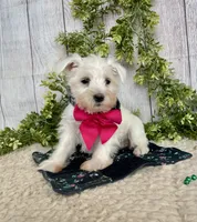 processed/6b8f1ba0-53c4-44aa-9a40-96ba513b41a5/listing/e49220d1-5ff8-4038-93c7-fd6c0c9d8f53/b9d45224-45f6-4975-9ede-ba9a2e48fef8