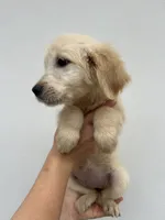 processed/6b94f5c9-85f0-4477-a757-ecaf5042d198/listing/16daebcc-1836-4edf-9612-3be4734808e4/09e8ab98-06a5-4fa6-9c0c-b772f4fd8c58