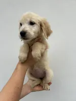 processed/6b94f5c9-85f0-4477-a757-ecaf5042d198/listing/16daebcc-1836-4edf-9612-3be4734808e4/b74efdcd-6e20-472b-be1f-d1478ed1b20e