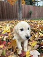 processed/6b94f5c9-85f0-4477-a757-ecaf5042d198/listing/3abdf66a-877b-4eda-9b9a-942684f1b43a/29007066-01f6-48cf-bfa6-048363a9f1d4