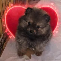 processed/6bb3a51a-2a57-4b55-8070-3b0d7430b3f8/listing/3bfbc9e7-809d-49ba-b81c-42190e7df53a/468c8158-dd47-4eff-b100-5cda26a52fe8