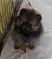 processed/6bb3a51a-2a57-4b55-8070-3b0d7430b3f8/listing/3bfbc9e7-809d-49ba-b81c-42190e7df53a/496d9d6f-fb46-42a8-805b-d99e5b178067