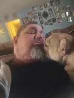 Mileena, a female French Bulldog for sale in Lindale, TX – Photo 3 of 5