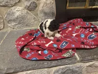 processed/6bc6f8a5-f74d-4e56-be7f-67959652be9a/listing/010d71f8-1e3e-4197-9fd1-b82b342d9b80/37b596ba-b0f1-4f79-8caf-6c757d60256f