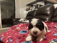 processed/6bc6f8a5-f74d-4e56-be7f-67959652be9a/listing/010d71f8-1e3e-4197-9fd1-b82b342d9b80/ac886bd4-66c2-4b87-9f2c-e1fde7b0b988