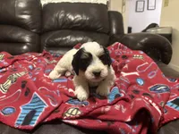 processed/6bc6f8a5-f74d-4e56-be7f-67959652be9a/listing/4404736b-6a23-44bb-bfd8-59d4e3d48576/19a6afe6-e2e4-40fe-b254-5aaa93805042