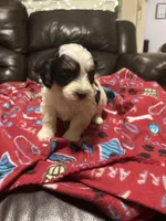 processed/6bc6f8a5-f74d-4e56-be7f-67959652be9a/listing/4404736b-6a23-44bb-bfd8-59d4e3d48576/b5073a3d-5b3e-467e-918c-320be7a613bc