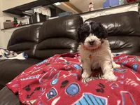 processed/6bc6f8a5-f74d-4e56-be7f-67959652be9a/listing/bce6eb33-7055-4f4f-8bd1-1c15a39d7066/4a1fd57d-8851-4b4a-b872-b8b9ba1bfc8a