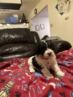 processed/6bc6f8a5-f74d-4e56-be7f-67959652be9a/listing/bce6eb33-7055-4f4f-8bd1-1c15a39d7066/4ff36ca7-a951-4d2b-b655-1bae38edcc0f