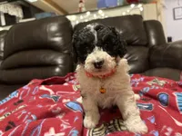 processed/6bc6f8a5-f74d-4e56-be7f-67959652be9a/listing/bce6eb33-7055-4f4f-8bd1-1c15a39d7066/81fb4975-ebbb-440b-93bd-48ec12c3298d