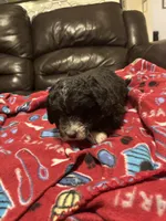 processed/6bc6f8a5-f74d-4e56-be7f-67959652be9a/listing/c77bb90b-3a3c-43c2-a736-2be30bc45c58/7223b787-0bf8-4184-bf3e-8d8a20d52b18