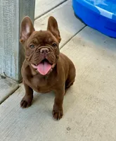 processed/6bcc8f5e-dbf1-4d78-b330-14975c77c87e/facility/96c47571-035e-4909-bcdd-1414600dae39