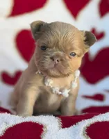 processed/6bcc8f5e-dbf1-4d78-b330-14975c77c87e/listing/69e4d601-417e-4164-bc57-d18c6ae11599/7175fbae-459d-4a56-ae65-ebc4945aa17c