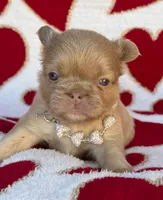 processed/6bcc8f5e-dbf1-4d78-b330-14975c77c87e/listing/69e4d601-417e-4164-bc57-d18c6ae11599/7c6df09e-0637-4380-80e1-5e02e9b1e395