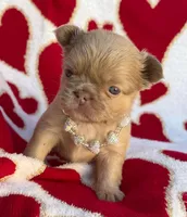 processed/6bcc8f5e-dbf1-4d78-b330-14975c77c87e/listing/69e4d601-417e-4164-bc57-d18c6ae11599/9f16a763-d2a0-4967-82f5-5a508746d0dd