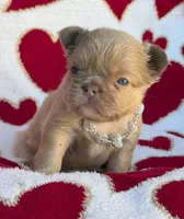 processed/6bcc8f5e-dbf1-4d78-b330-14975c77c87e/listing/69e4d601-417e-4164-bc57-d18c6ae11599/cb5fac72-d05c-4891-8704-59f9638ac477