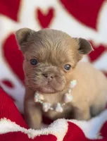 processed/6bcc8f5e-dbf1-4d78-b330-14975c77c87e/listing/69e4d601-417e-4164-bc57-d18c6ae11599/d1a64be0-9f24-4bab-9660-2a1bf2c36791