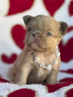 processed/6bcc8f5e-dbf1-4d78-b330-14975c77c87e/listing/69e4d601-417e-4164-bc57-d18c6ae11599/eee052fb-9980-4f3f-a306-0b4212b127ab