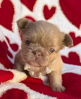 processed/6bcc8f5e-dbf1-4d78-b330-14975c77c87e/listing/69e4d601-417e-4164-bc57-d18c6ae11599/efabc3da-6966-4ace-be81-ddd211e564bc