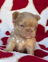 processed/6bcc8f5e-dbf1-4d78-b330-14975c77c87e/listing/69e4d601-417e-4164-bc57-d18c6ae11599/ffe099c9-4376-4203-b137-1d520f8e2700