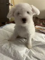 processed/6bce19f3-9f54-4ca9-8720-02f207713874/listing/4eec08d3-f96a-437d-9aa7-4dcb85824fd8/c08d5295-4d54-4162-8d01-438ecff4872f