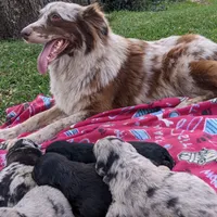 processed/6be3ac7c-cd43-4a10-ae97-482746124baf/facility/263f9205-ebe3-416e-b00f-ffe1d5bb1352