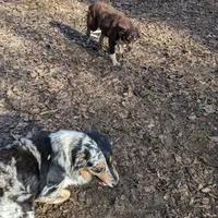 processed/6be3ac7c-cd43-4a10-ae97-482746124baf/facility/3dcba2d5-d8b7-4556-9176-27696ca094b4