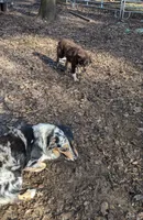 processed/6be3ac7c-cd43-4a10-ae97-482746124baf/facility/3dcba2d5-d8b7-4556-9176-27696ca094b4