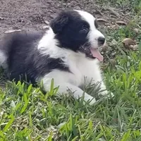 processed/6be3ac7c-cd43-4a10-ae97-482746124baf/facility/4adb6b92-9f9b-45fa-aff7-74c5700ca8de