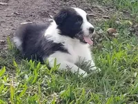 processed/6be3ac7c-cd43-4a10-ae97-482746124baf/facility/4adb6b92-9f9b-45fa-aff7-74c5700ca8de